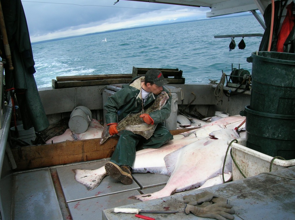 yakutathalibut1024×766 Southeast Alaska Watershed Coalition