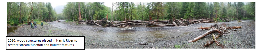 Tongass National Forest Watershed Restoration Program