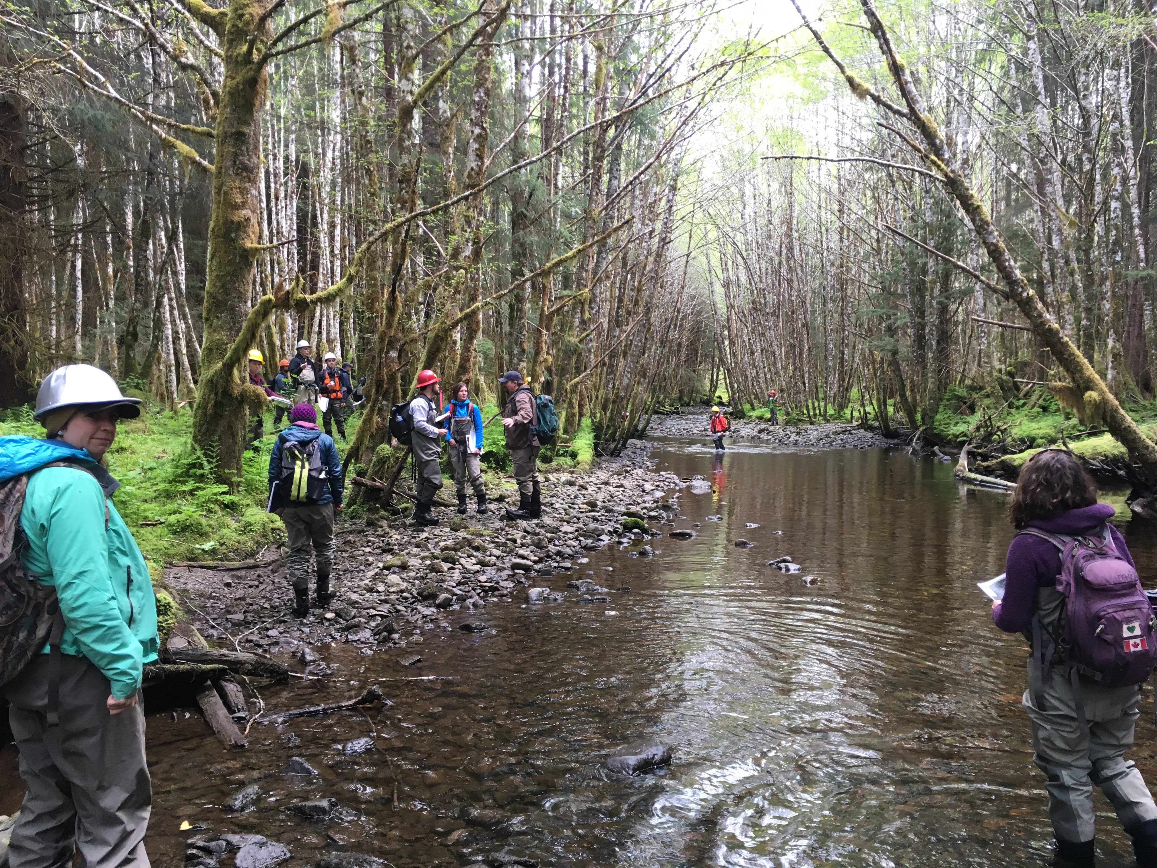 Resource Managers Build Watershed Restoration Capacity at Regional Workshop