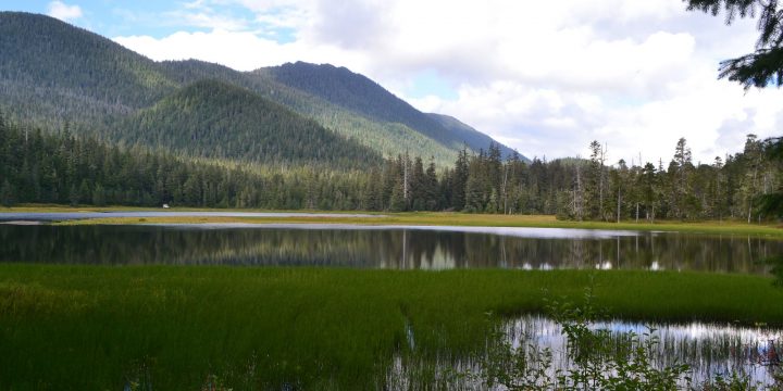 The Southeast Alaska Mitigation Fund is Approved! 