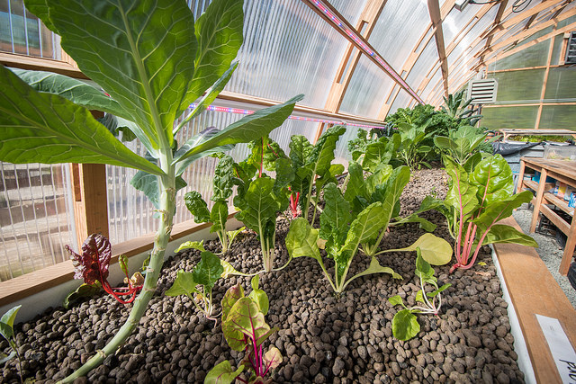 Path to Prosperity focuses on Local Foods:  Twelve Entrepreneurs Compete for Award to Grow Business
